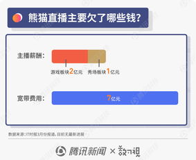 圖解王思聰商業(yè)風(fēng)波 從“國(guó)民老公”到“限消令”漩渦，熊貓直播債務(wù)迷局待解